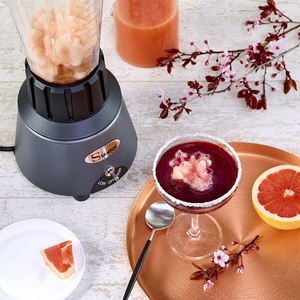 Mixeur de bar n°33GE Gris